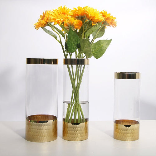 Glass vase modern transparent hydroponic flower vase home decoration ornaments - FashionTech