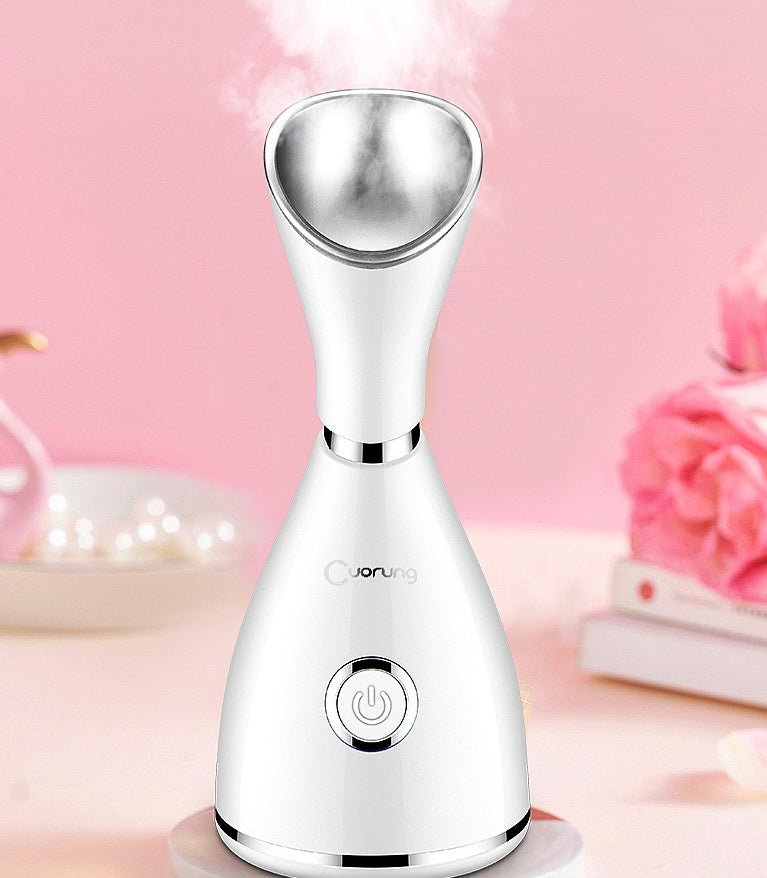 Household steamer - Tech Tready