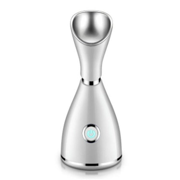 Household steamer - Tech Tready