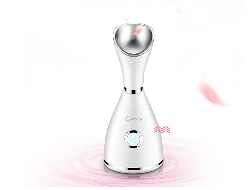 Household steamer - Tech Tready