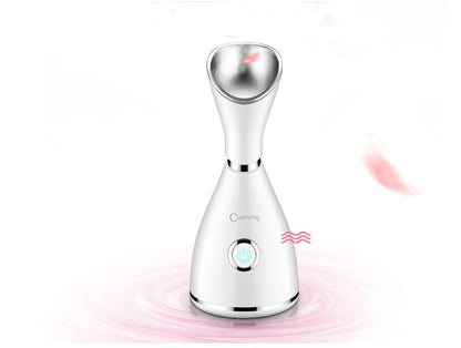 Household steamer - Tech Tready