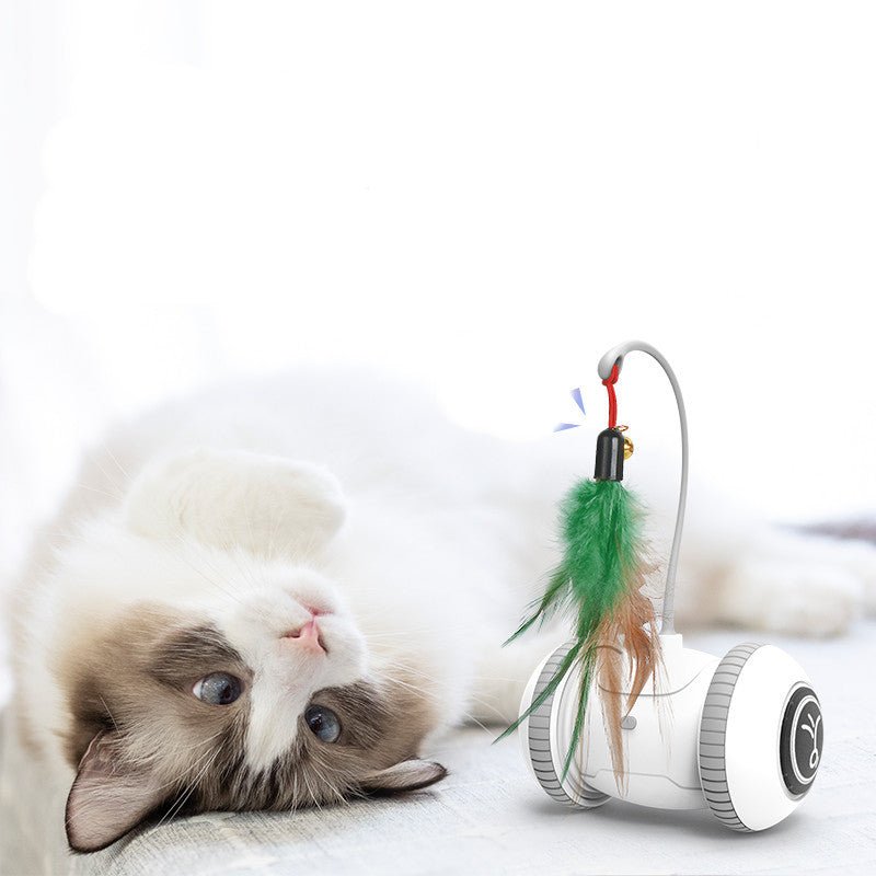 Interactive Cat Toy With Interchangeable Heads Pet Feather Toys - Tech Tready