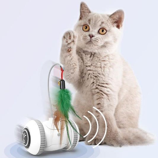 Interactive Cat Toy With Interchangeable Heads Pet Feather Toys - Tech Tready