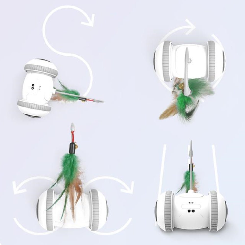 Interactive Cat Toy With Interchangeable Heads Pet Feather Toys - Tech Tready