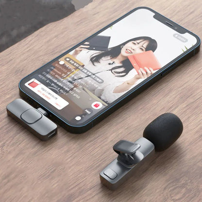 Rechargeable Wireless Microphone - Tech Tready