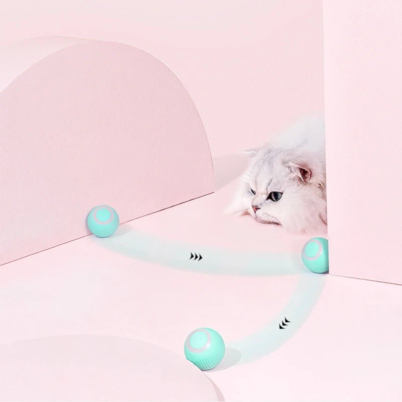 Remote Control Interactive Cat Car Toy USB Charging Chasing Automatic Self - moving Remote Smart Control Car Interactive Cat Toy Pet Products - FashionTech